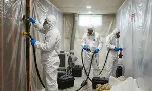 Mold remediation services in Roseville, CA for water damage cleanup and property restoration